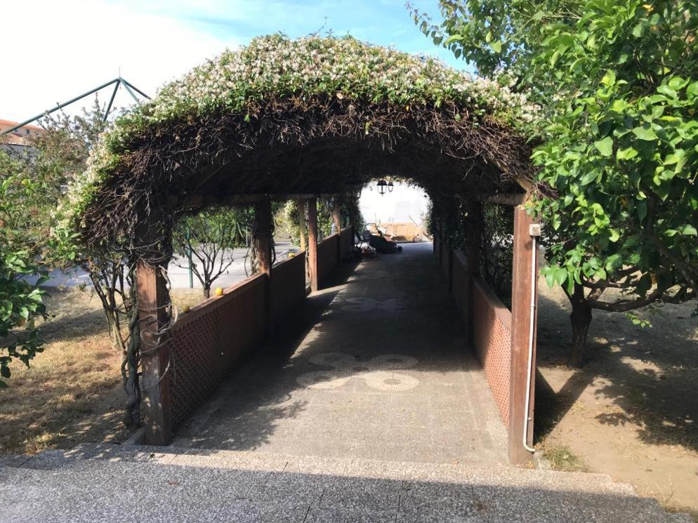 卡斯特沃托诺Mary Rose住宿加早餐旅馆 外观 照片